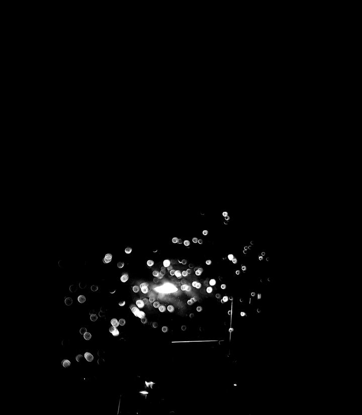 lights