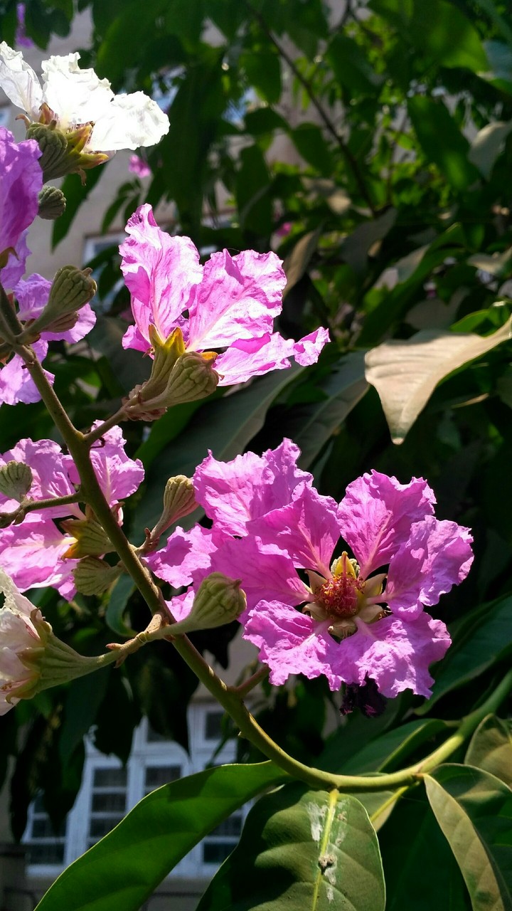 summer