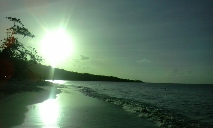 island life