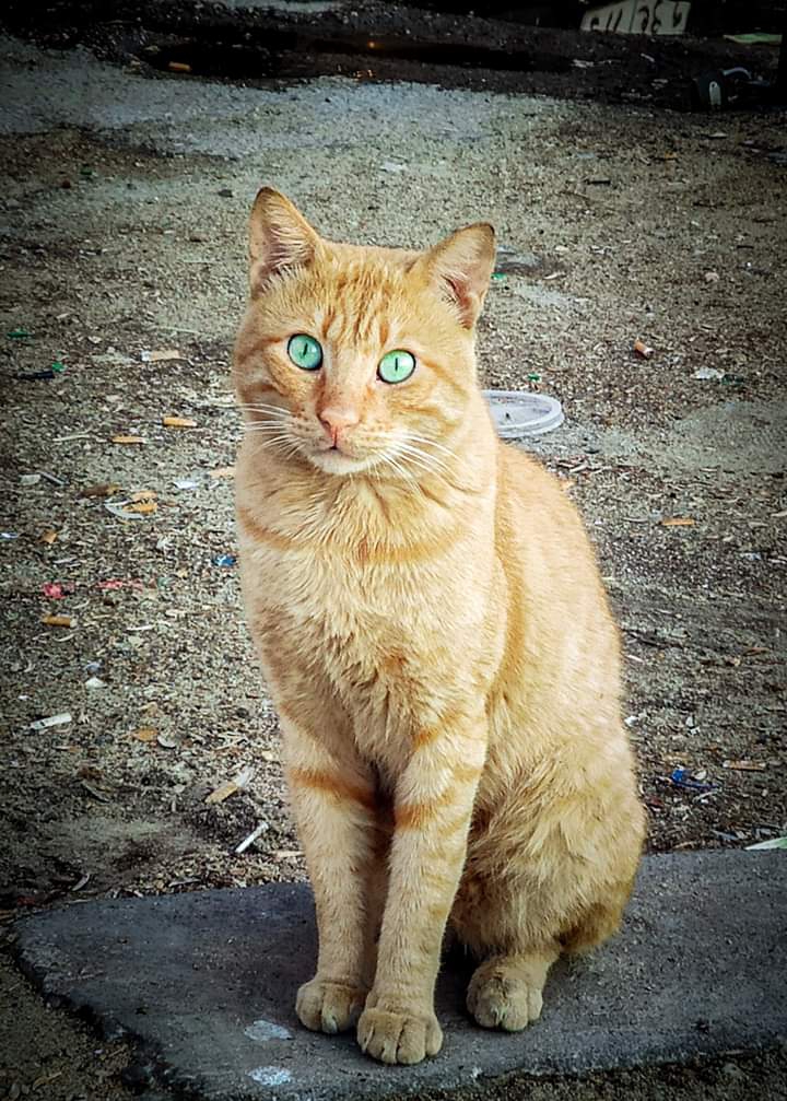 ♥️