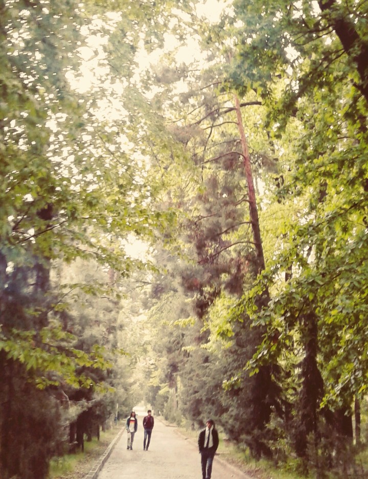 park