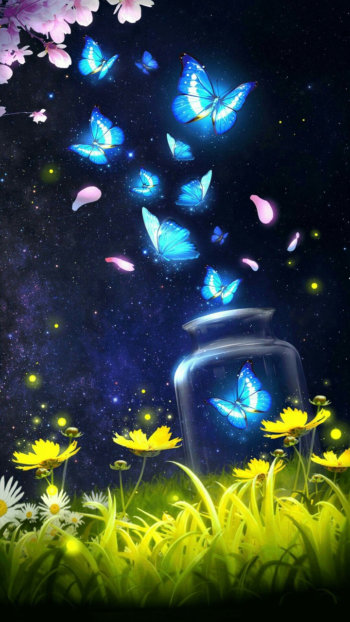 beautiful butterflies
