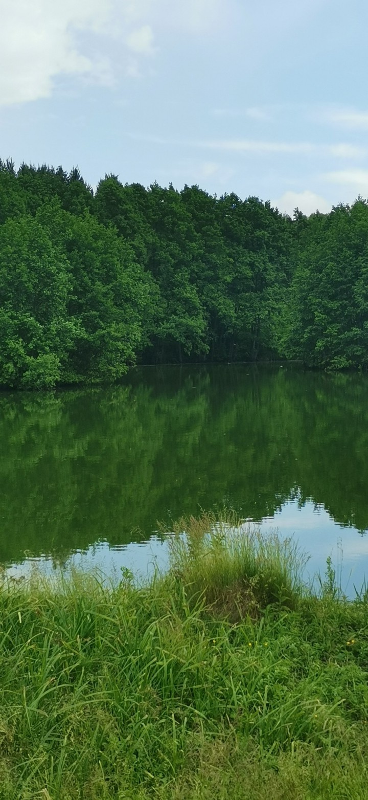 lake