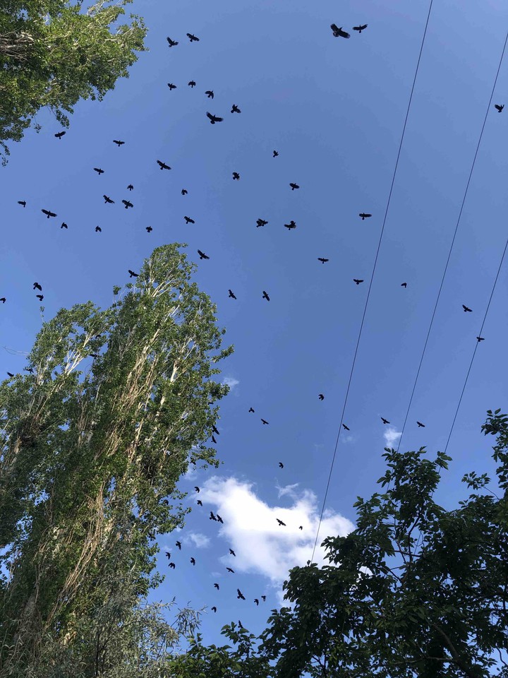 sky