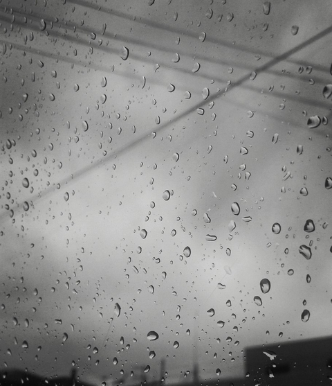 Ver llover