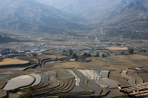 sfondi hill, Field