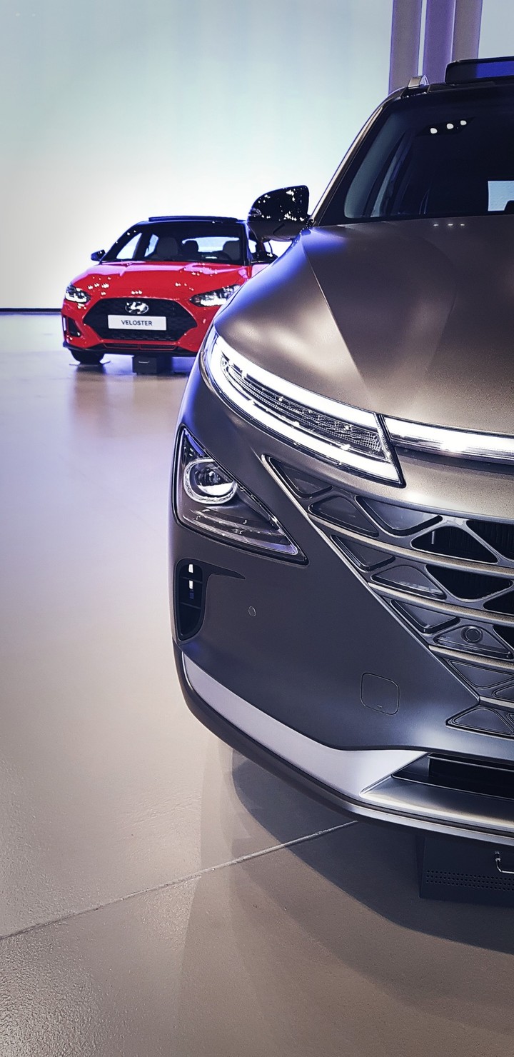 Veloster&Nexo