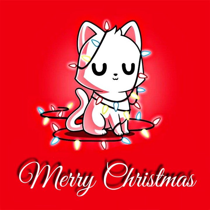 Merry Christmas (๑^ں^๑)