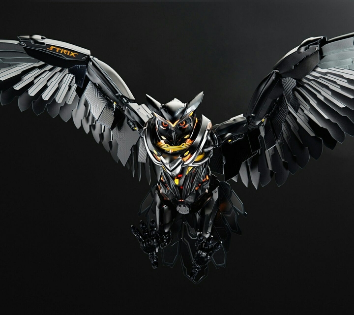2050 owl