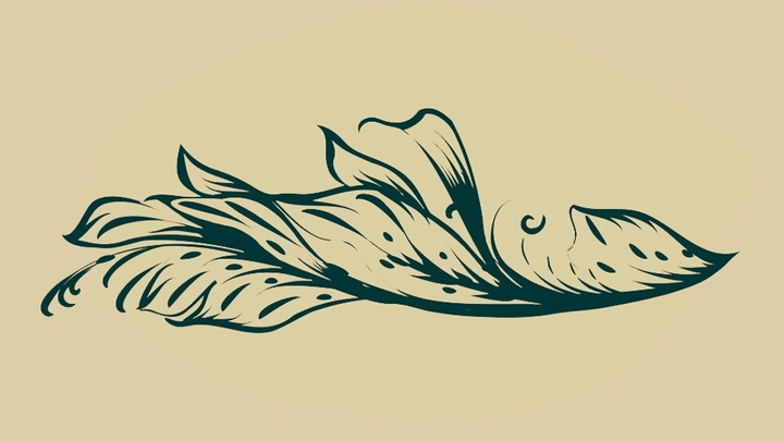 Ornament
