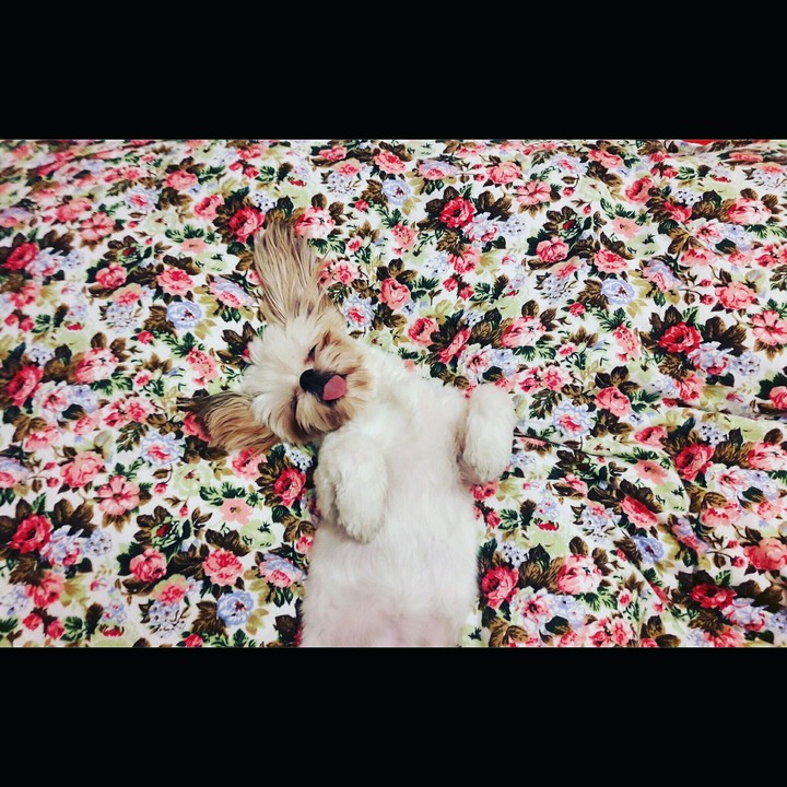 ❤