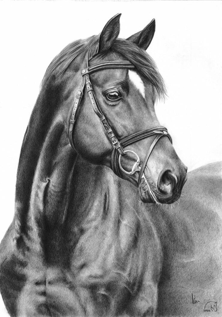 painting of a horse