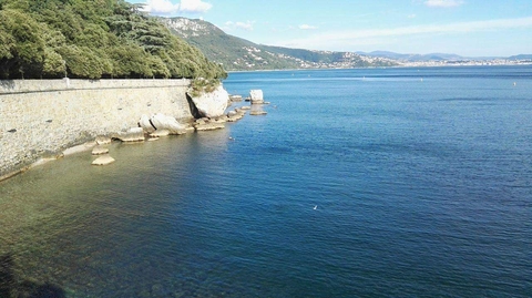 Ocean