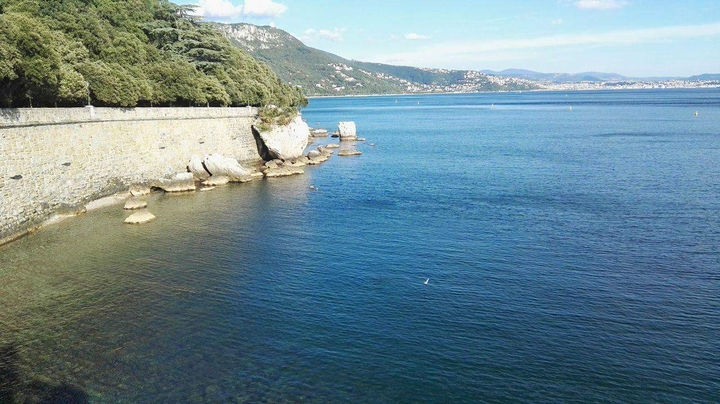 Ocean