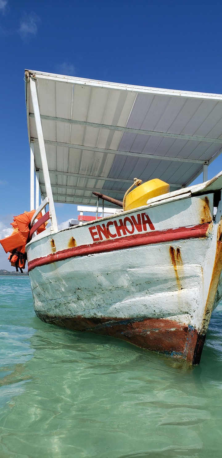 navio