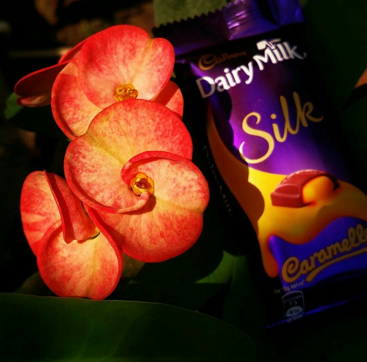 chocolate+ flowers+love