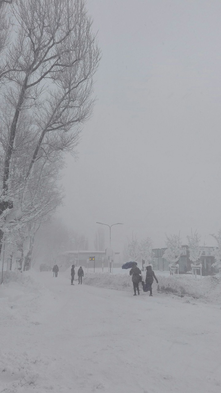 snow