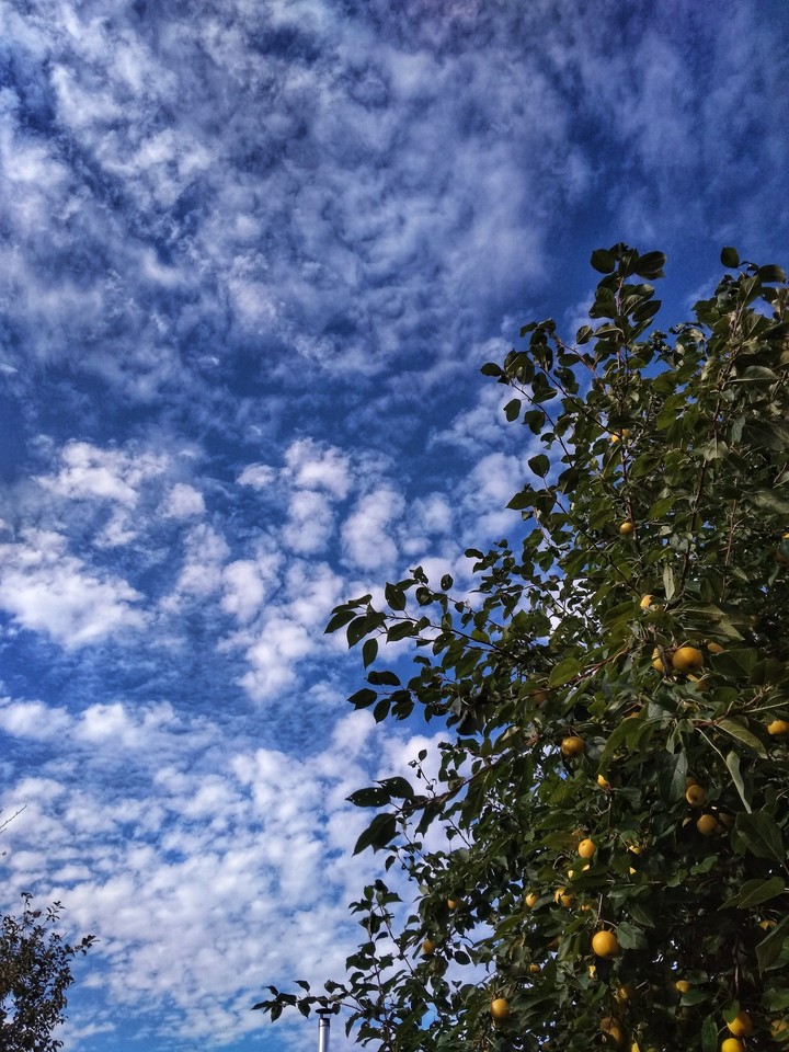 sky