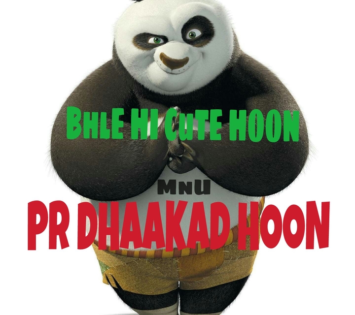 kung Fu panda