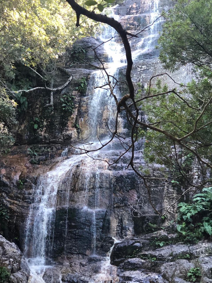 Tsitsikama Hiking Trail