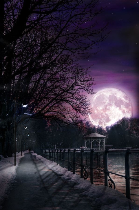 Alone...