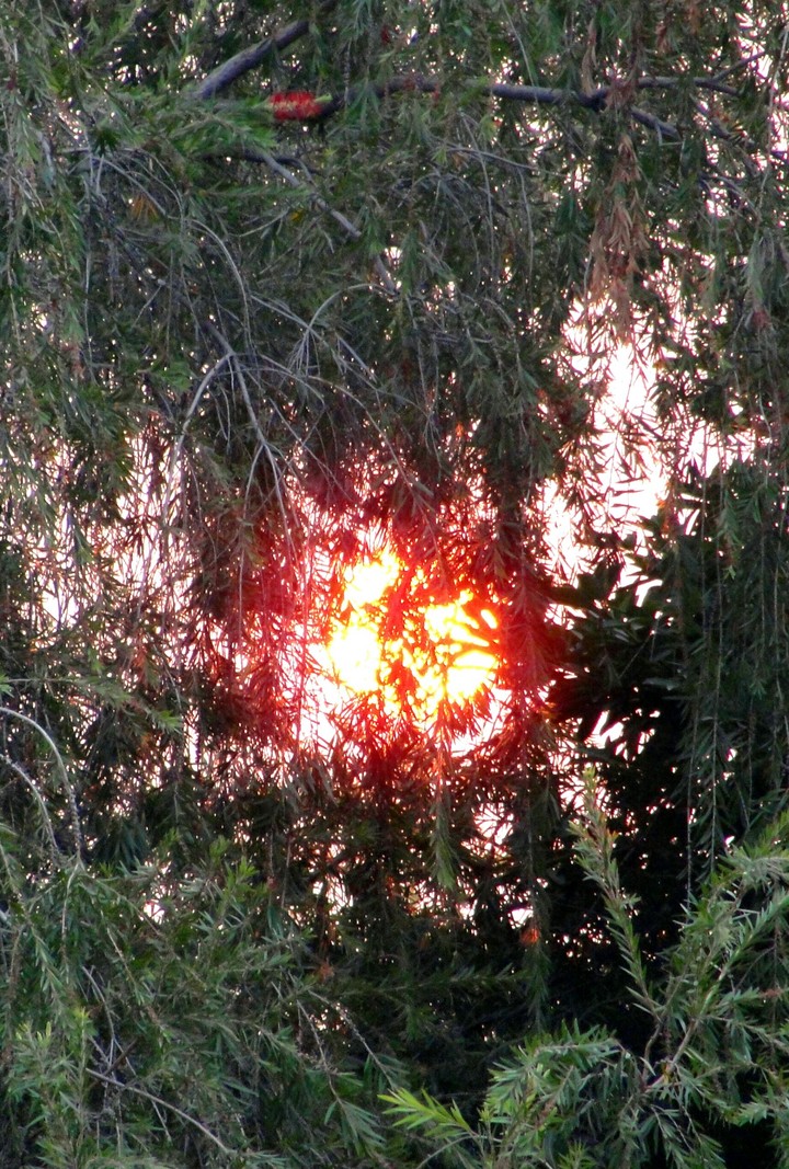 set up sun...
