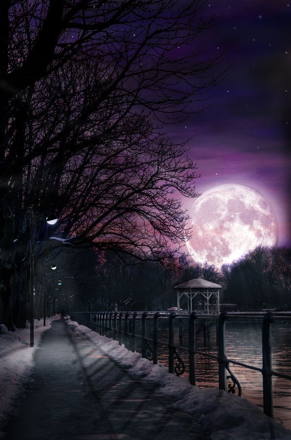 Alone...