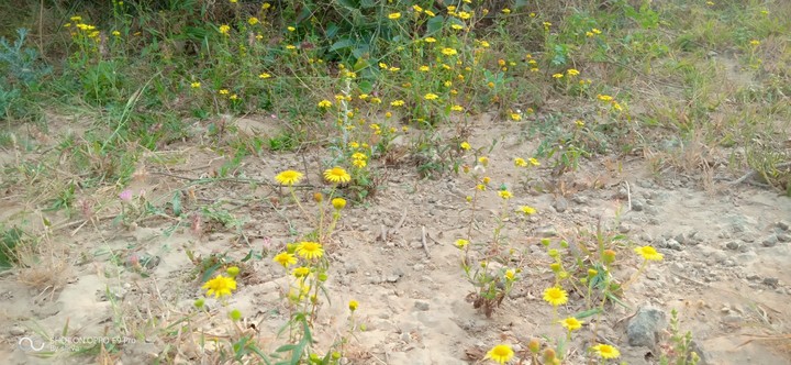 Our farm