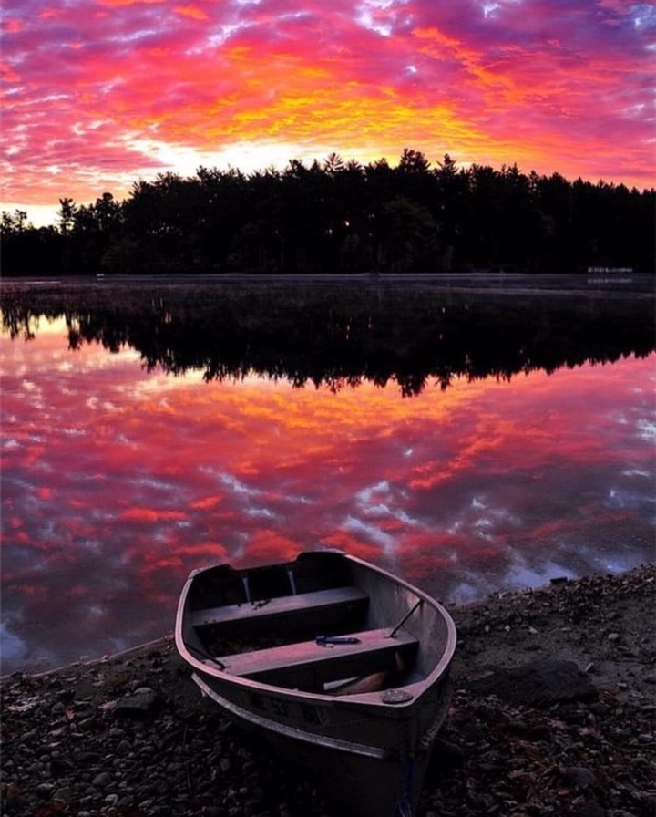 Bloody sunset against the backdrop of the forest and the lak