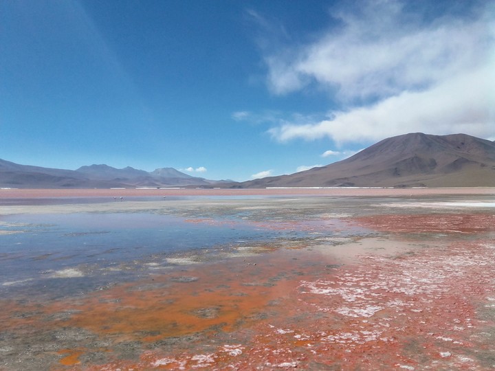Laguna Colorada, Bolivia