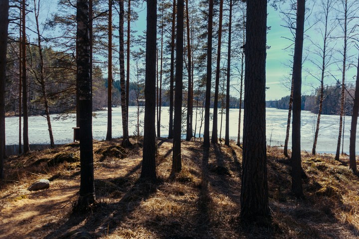Finland