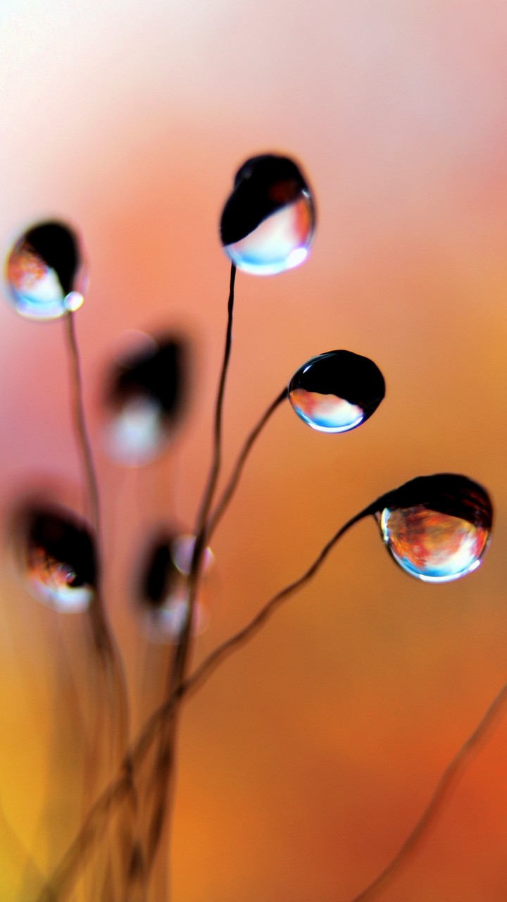 Waterdrop
