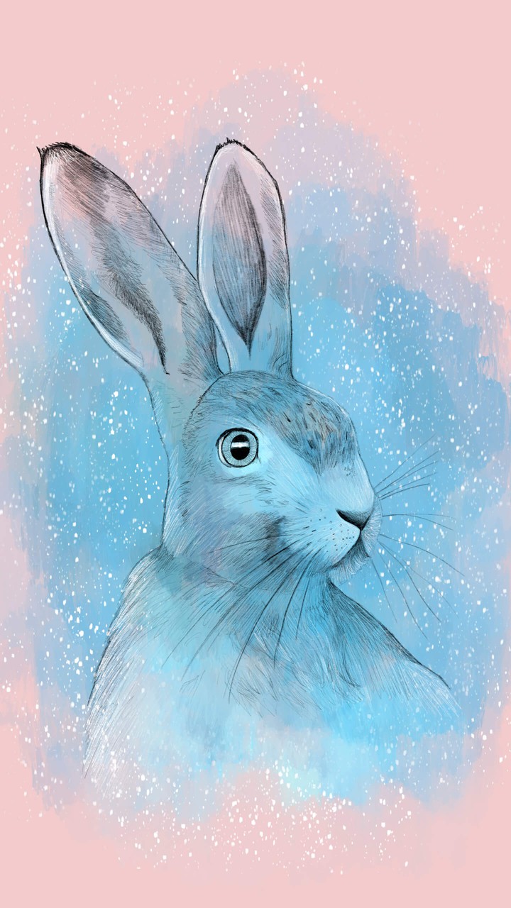 rabbit