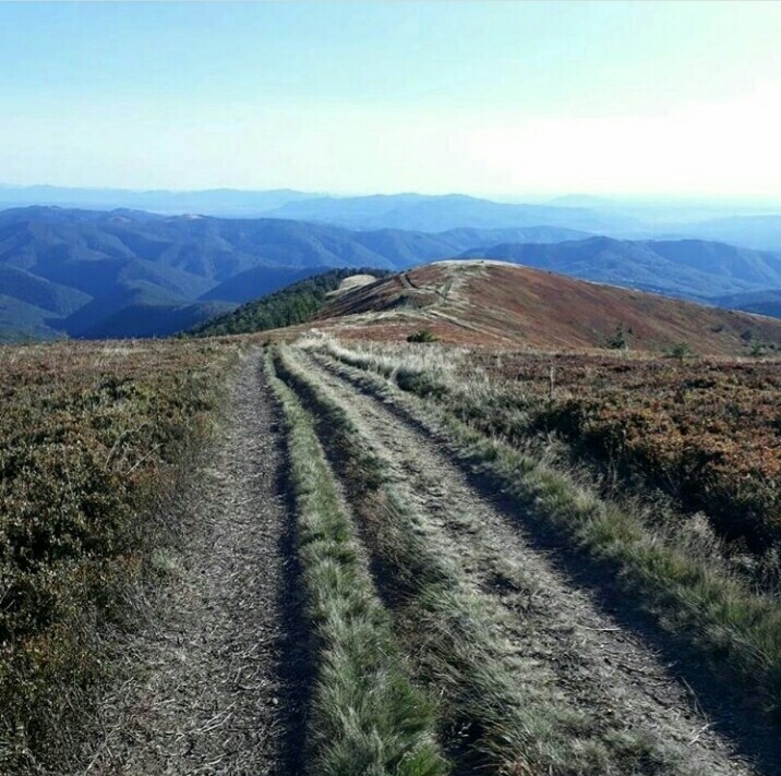 mountains of the Carpathians