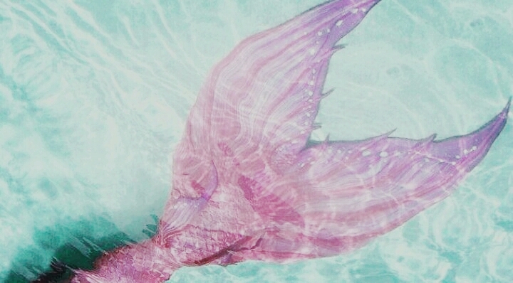 sirene