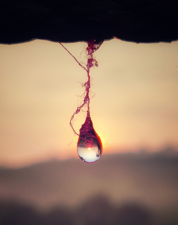 drop