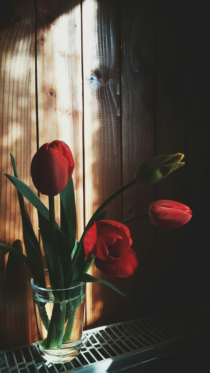 Lovely