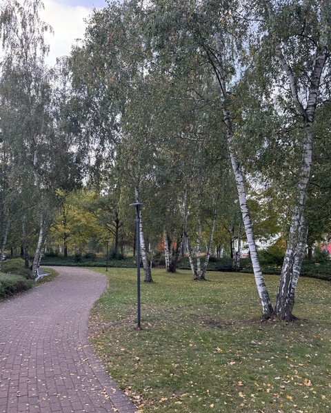 Без названия