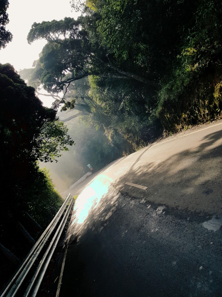Road to haven