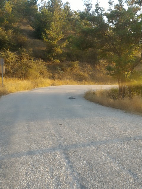 yol