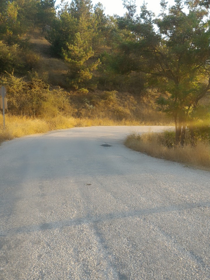 yol