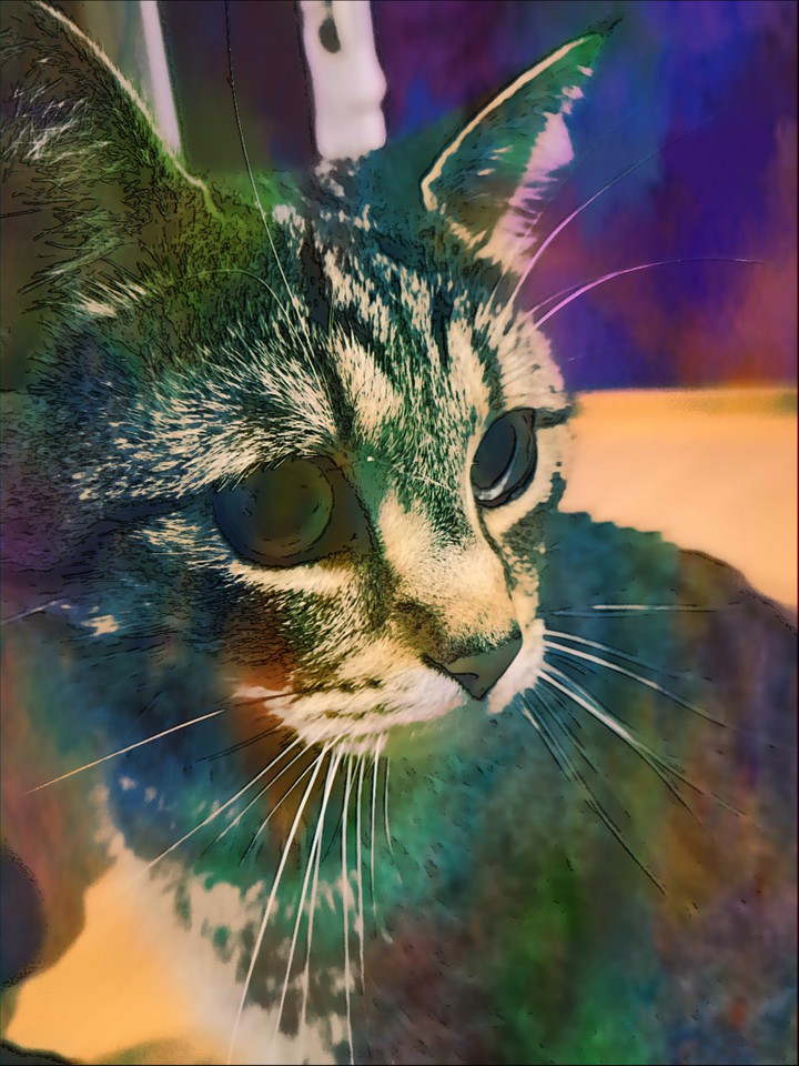 Watercolour Cat