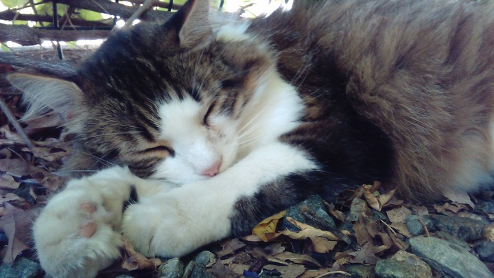 fatigue