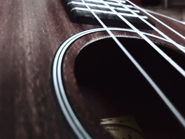 ukulele