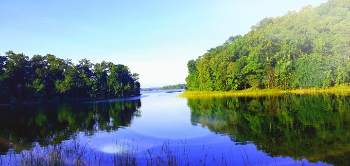Nature