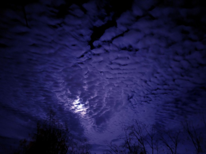 Night