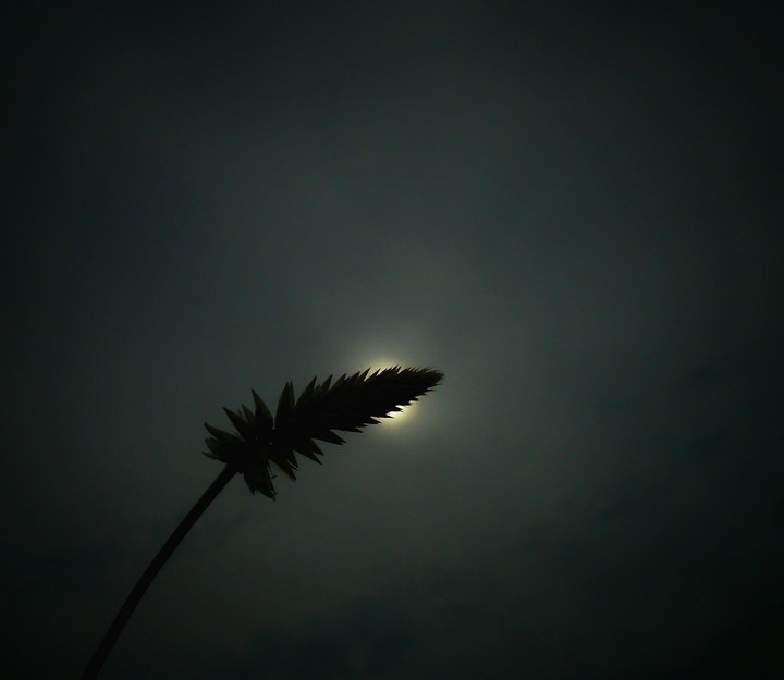 Dawn