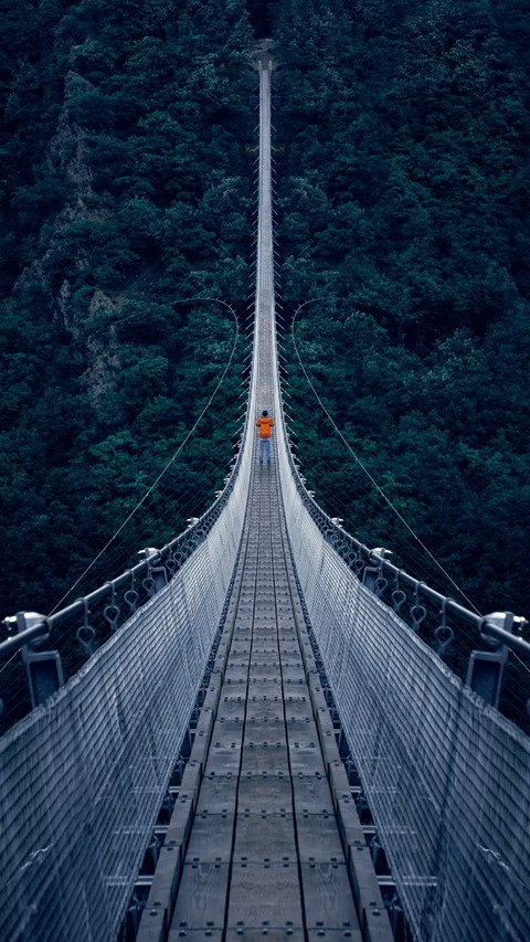 Unique bridges