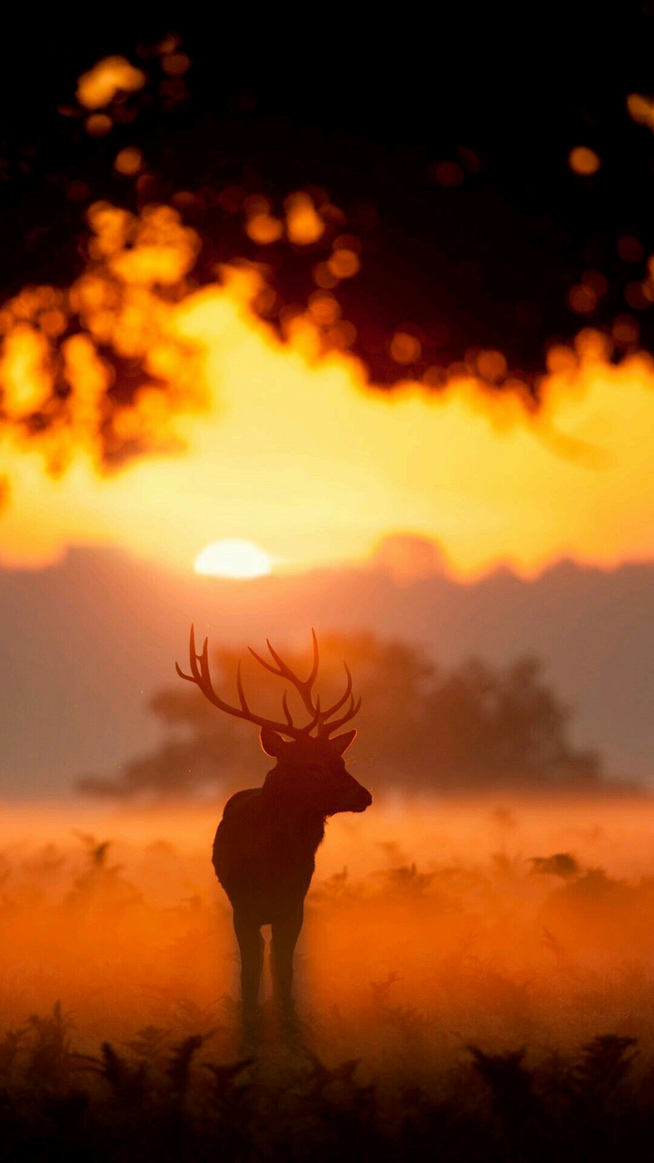 nature