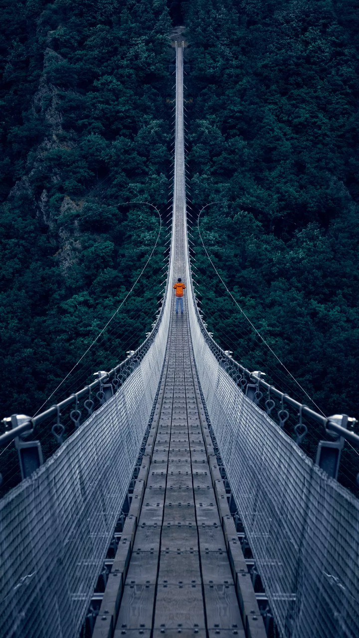 Unique bridges